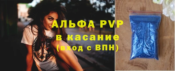 индика Богданович