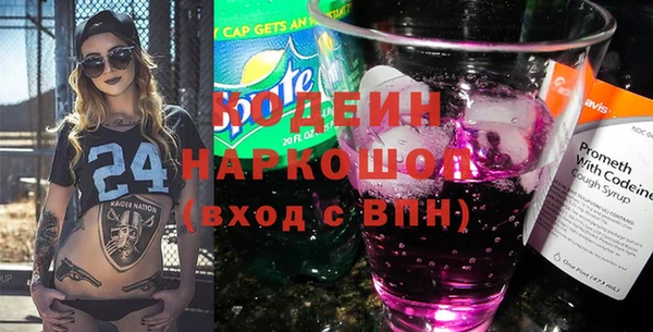 индика Богданович