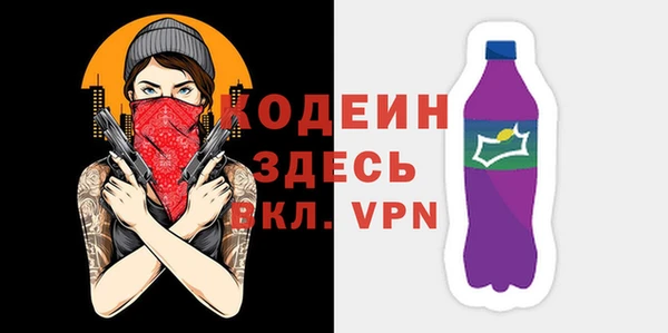 индика Богданович