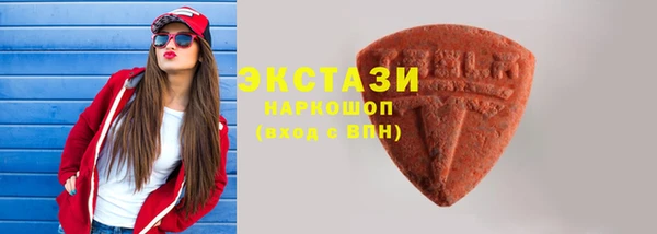 индика Богданович