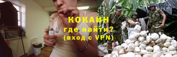 индика Богданович