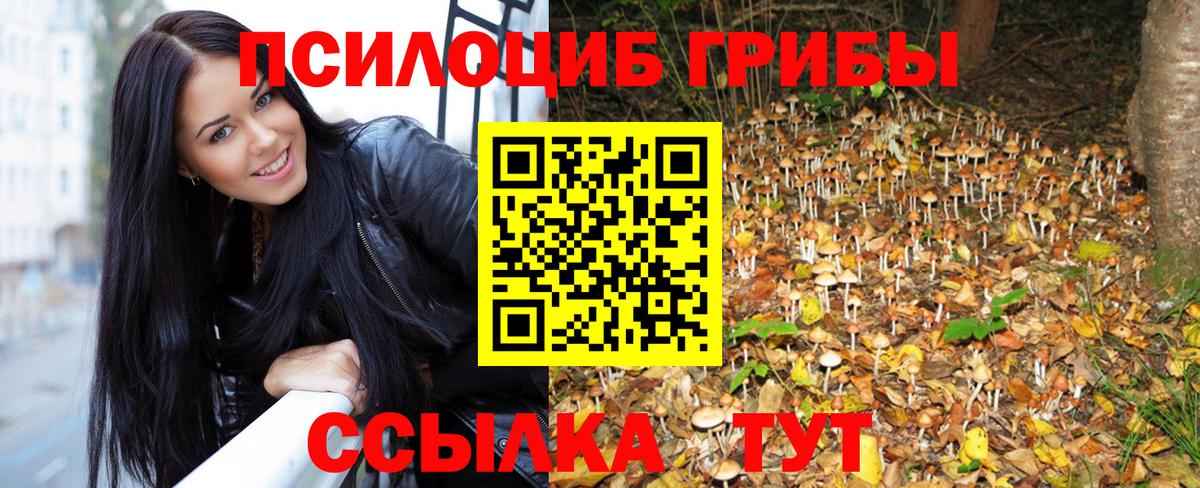 Псилоцибиновые грибы Cubensis Великие Луки